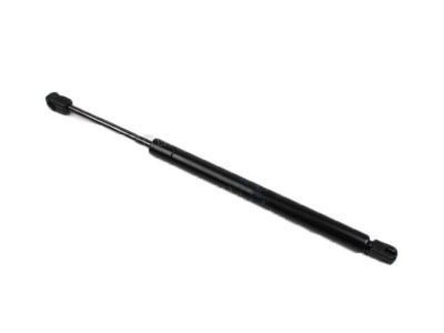 Lincoln Lift Support - 6W1Z-16C826-AB