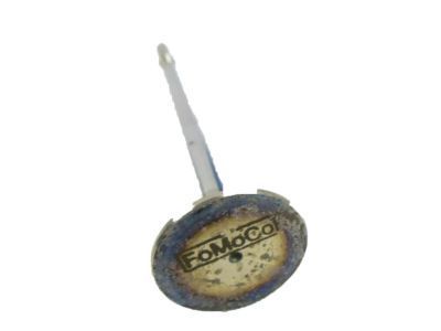 2023 Ford F-250 Super Duty Intake Valve - BC3Z-6507-A