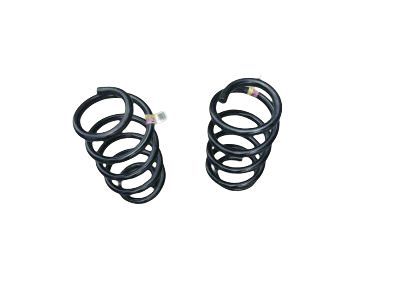 Ford CK4Z-5310-N Spring