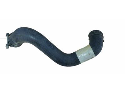 Mercury F3DZ-8286-B Lower Hose