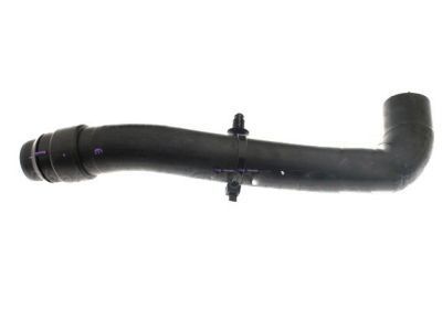 Lincoln Radiator Hose - AA5Z-8286-C