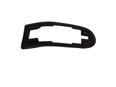 Ford CV6Z-5422042-B Handle, Outside Pad