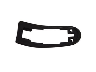 Ford CV6Z-5422042-B Handle, Outside Pad