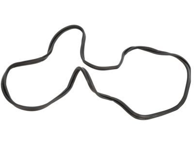 Lincoln 7L1Z-78404A06-B Weatherstrip