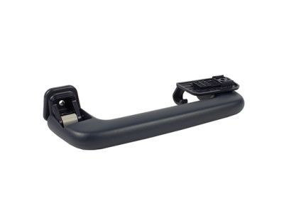 Lincoln DS7Z-5831406-BE Grip Handle