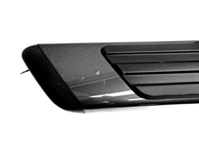 Ford BL3Z-16450-AAPTM Running Board