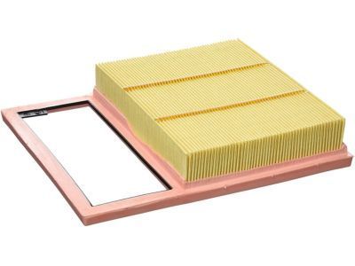 Ford DG9Z-9601-A Air Filter