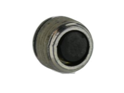 Lincoln 6C2Z-4N282-AA Rear Cover Plug