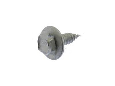 Lincoln -W700910-S439 Center Shield Screw