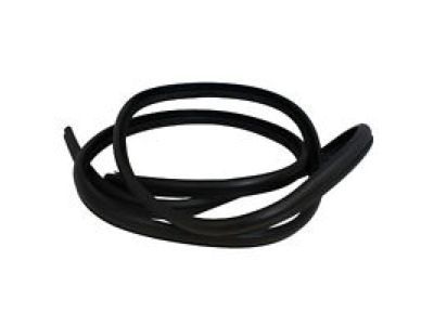 2000 Ford Expedition Weather Strip - F75Z-7820708-AB