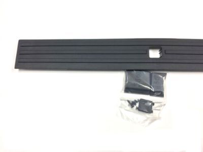 Ford FL3Z-9940602-B Upper Molding