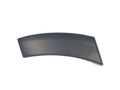 Lincoln 7L7Z-7829077-APTM Lower Molding