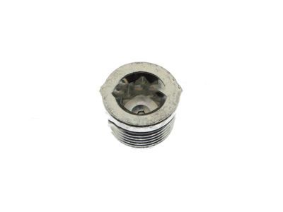 Ford -W528207-S437 Plug