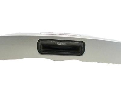 Ford CV6Z-5843400-AA Molding Panel