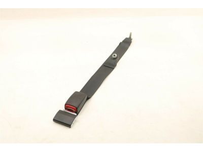 Ford 6L5Z-10611B60-AAA Center Seat Belt