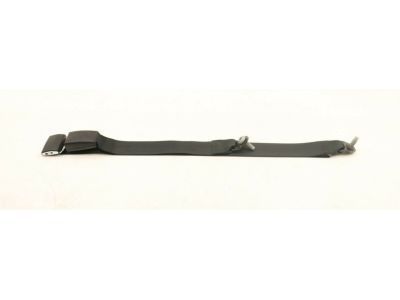 Ford 6L5Z-10611B60-AAA Center Seat Belt