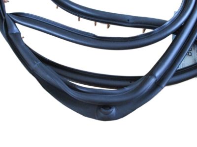 Mercury 1L2Z-7825324-AA Weatherstrip