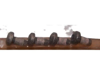 Ford -W711217-S424 Screw