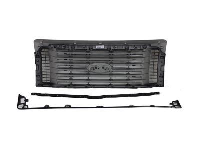 Ford AL3Z-8200-CCPTM Grille