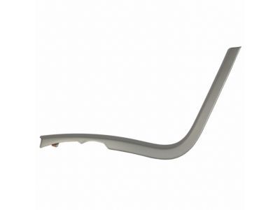 Ford DT4Z-78061A17-AA Trim Molding