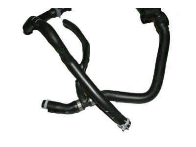 Ford DV6Z-8075-B Hose Assembly