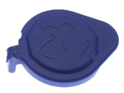 Lincoln FT4Z-17632-A Reservoir Cap