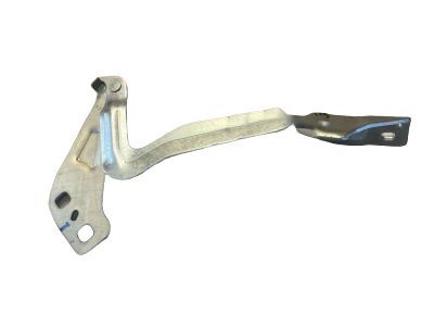 Ford DS7Z-16796-A Hinge