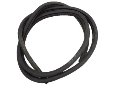 Ford Escape Weather Strip - CJ5Z-78253A11-B