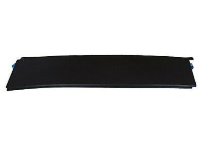 Ford F-150 Door Moldings - 6L3Z-16255A35-AA