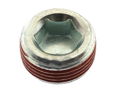 Lincoln -W701548-S437 Expansion Plug