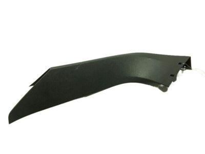 Ford FT4Z-5842410-AA Side Trim