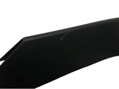 Ford FT4Z-5842410-AA Side Trim