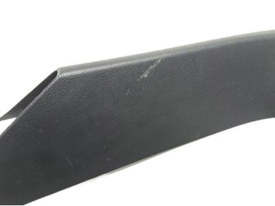 Ford FT4Z-5842410-AA Side Trim