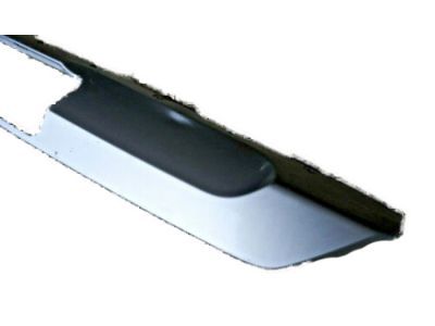 Ford JL1Z-17808-APTM Deflector - Stone