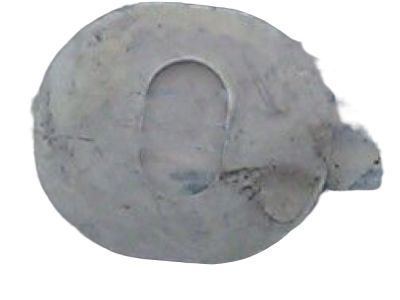 Ford -W710733-S439 Absorber Washer