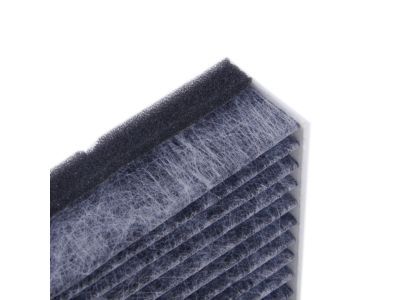 Ford CV6Z-19N619-A Air Filter