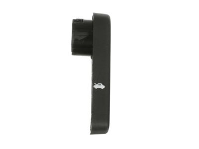 Lincoln HS7Z-16B626-A Release Handle