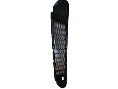 Lincoln AE5Z-8200-DBCP Grille - Radiator