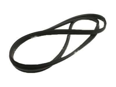 Ford Focus Door Seal - CV6Z-5843720-A