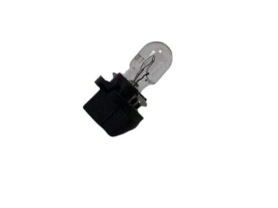 Lincoln YL3Z-13B765-CA Bulb & Socket