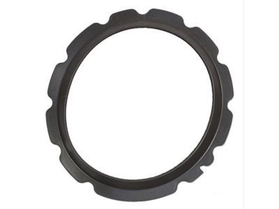 Lincoln 5W1Z-9276-A Gasket