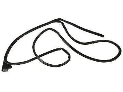 Ford FL3Z-1625324-A Door Weatherstrip