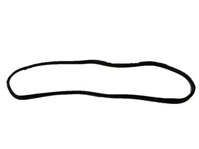 Ford 7L1Z-7820709-A Door Weatherstrip