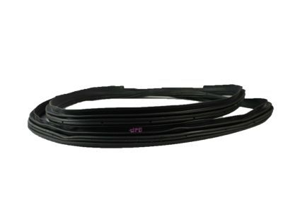 Lincoln 7L1Z-7820709-A Door Weatherstrip