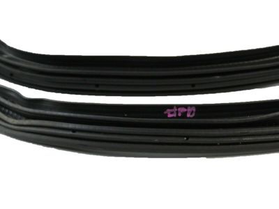 Lincoln 7L1Z-7820709-A Door Weatherstrip