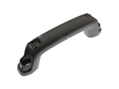 Ford BK2Z-6131406-AE Grip Handle