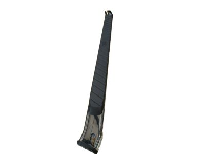 Ford BC3Z-16450-DA Running Board