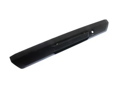 Ford HC3Z-9943400-DB Handle