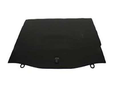 Ford CV6Z-5813046-BB Floor Cover