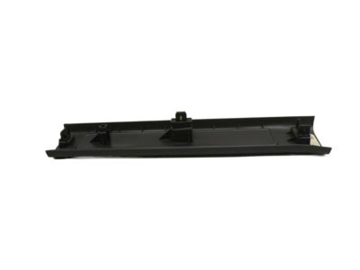 Ford DG1Z-5413208-AB Front Sill Plate